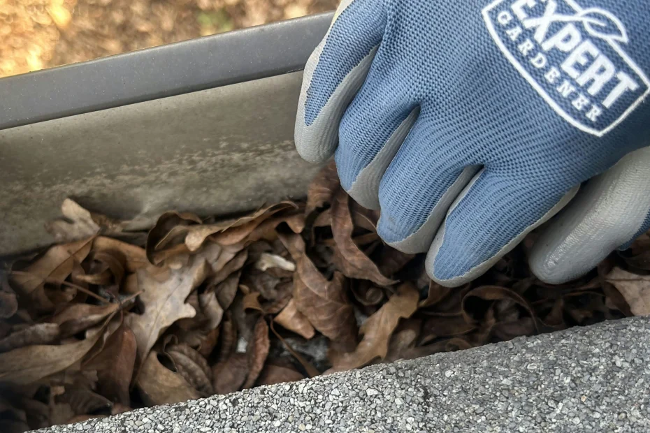 Fishers Gutter Cleaning