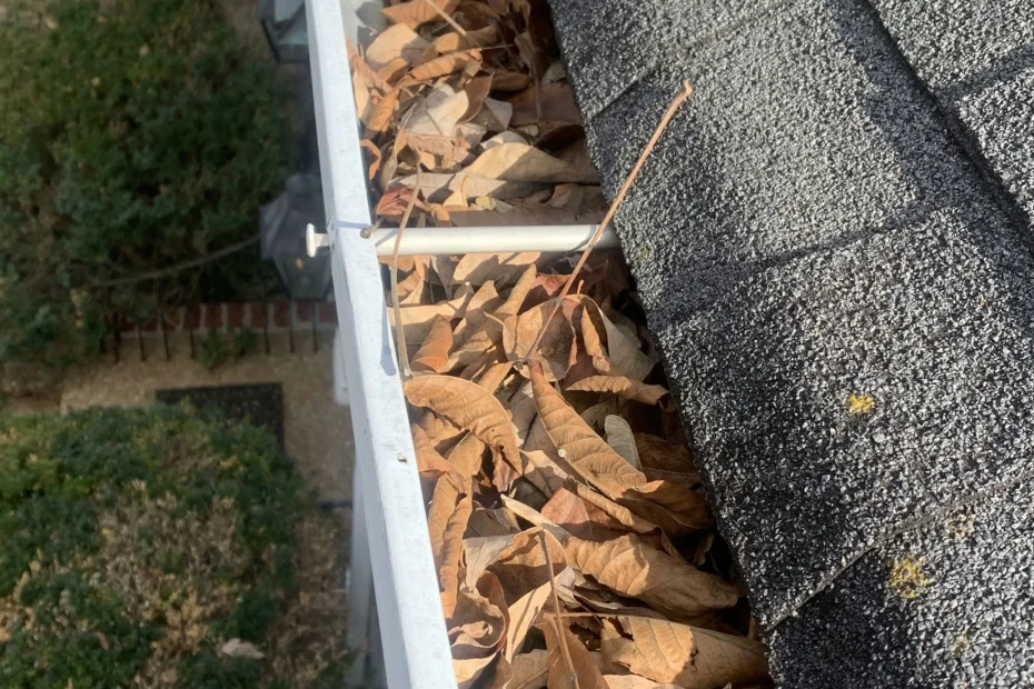 Fishers Gutter Cleaning