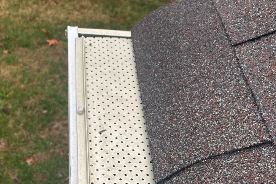 Fishers Gutter Cleaning